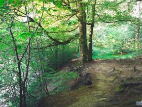 UK - River Ribble - Lancashire