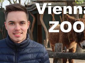 No Gruzijas uz Vīni | Vienna, Austria ZOO 2018
