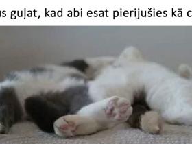 14 attēli ar parakstiem par attiecībām, kas sakausēs pat aukstākā vīrieša sirdi