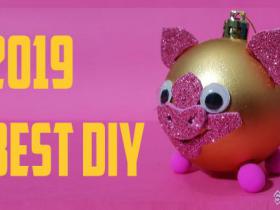 DIY pig trend 2019 new year by Devlin Fox