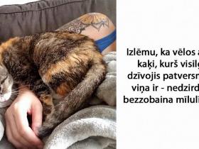 20+ iedvesmojoši stāsti par dzīvniekiem no patversmes. Lasi un iedvesmojies!