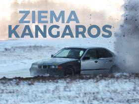 Baznīcas drupas un krūmu gonka