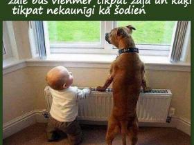 Ko sola 2019. gads