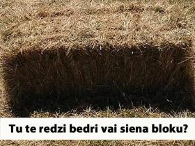 20+ fotogrāfijas, kuras liek cilvēkiem lauzīt galvas