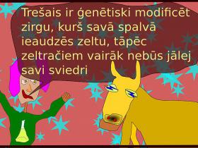 Elles zirgi