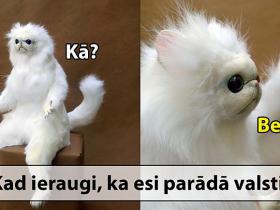 12 memītes par tiem, kuri šodien uzzināja, ka ir parādā valstij