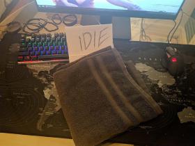 FS Dvielies