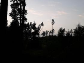 2018. gada atvaļinājums, 6. septembris.