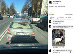 Rīgā manīta hondiņa ar neparastu pasažieri bagāžniekā