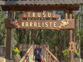 Trušu karaliste