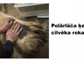 Apbrīnojamā pasaule: Foto, kuri noteikti jāredz