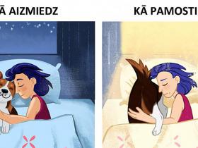 10 patiesi komiksi par suņu saimniekiem