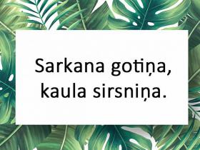 20 interesantas latviešu tautas mīklas