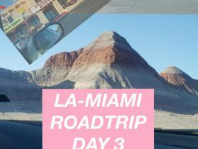 LA-MIAMI ROADTRIP DAY 3 / pārakmeņojies mežs