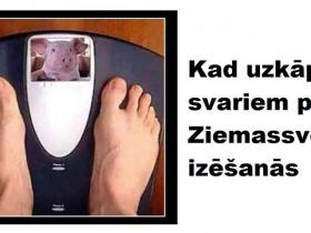 Memīšu izlase labākam noskaņojumam (20 attēli)