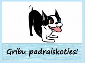 Suņa ķermeņa valoda
